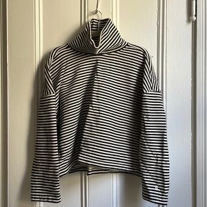 Everlane Striped Turtleneck long-sleeve / sweater